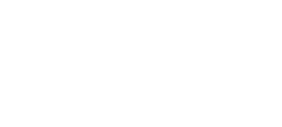 Bingi